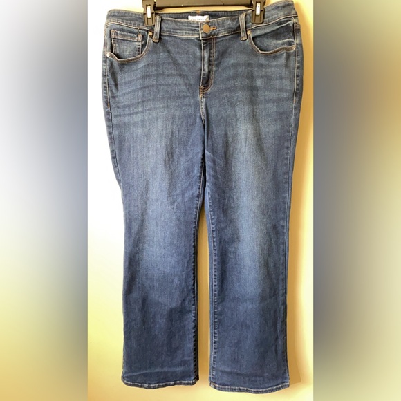 Lane Bryant denim - Picture 1 of 4